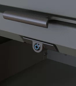 Plieninė krosnelė Charnwood Skye E 700, automatinis valdymas, juodos spalvos